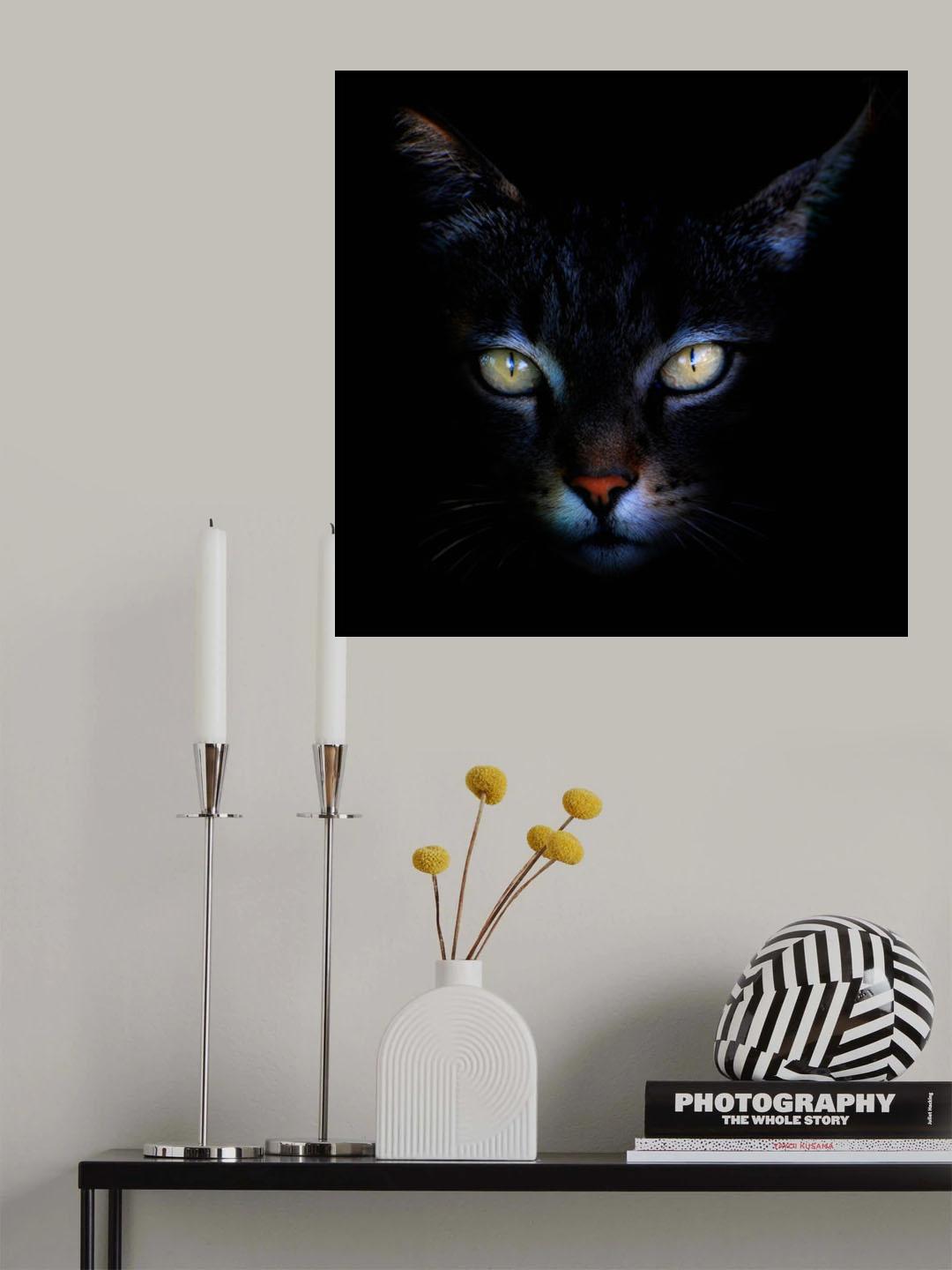 Poster och Canvastavla