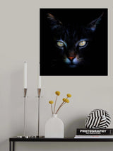 Poster och Canvastavla