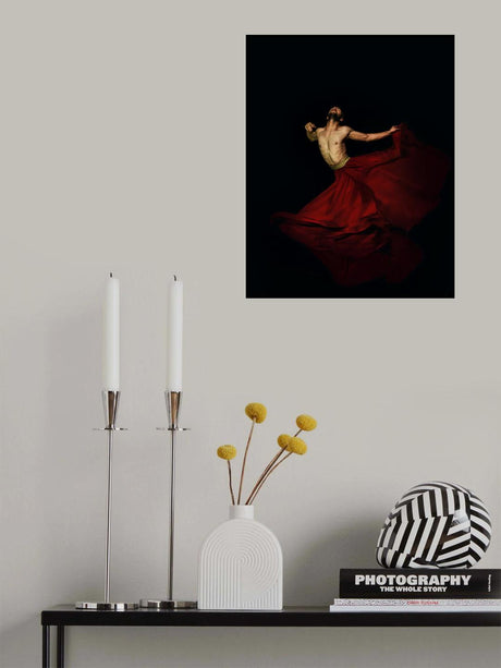 Fly Poster och Canvastavla