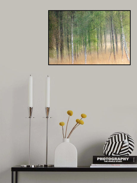 Waving trees Poster och Canvastavla