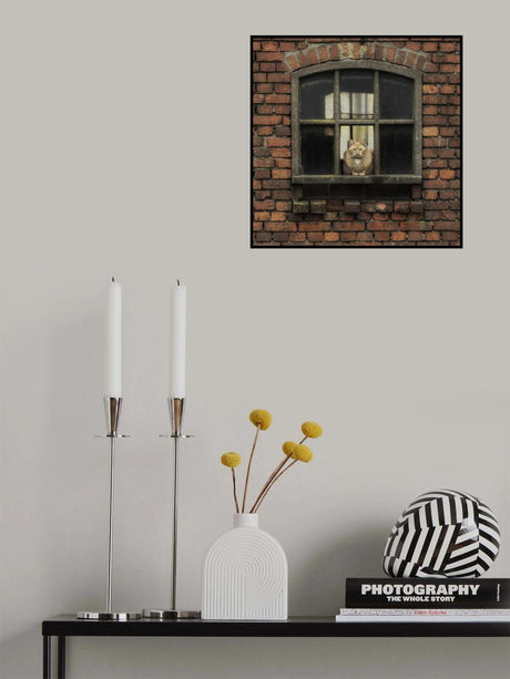 Hypnotic Poster och Canvastavla