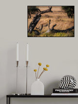 My Pose Poster och Canvastavla
