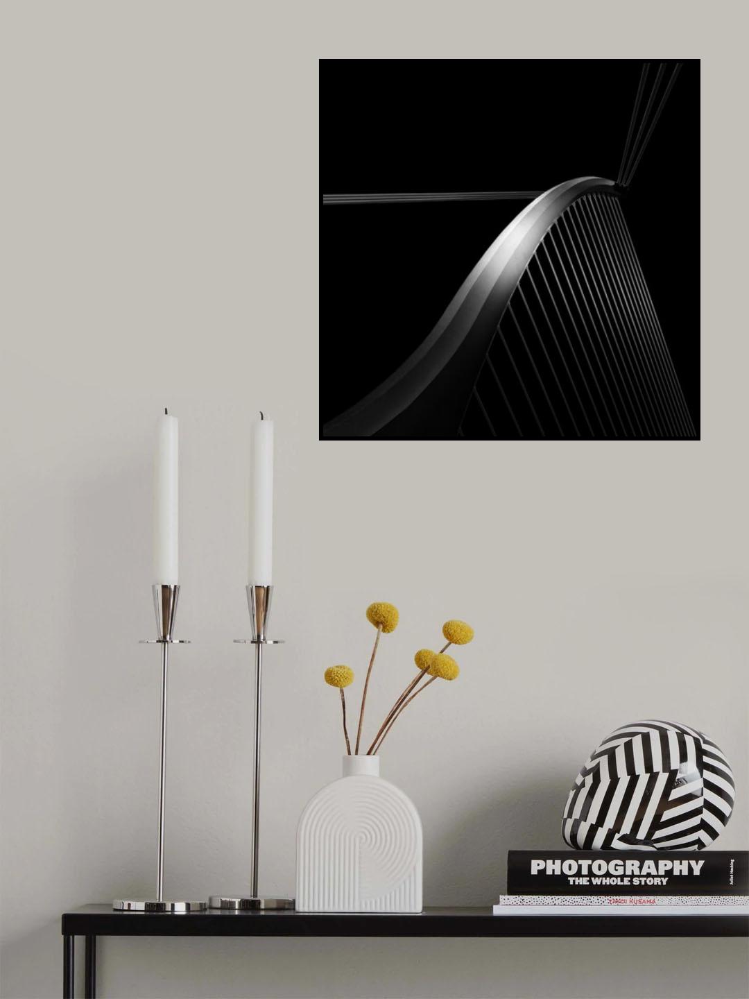 Like a bird Poster och Canvastavla