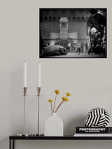 Charity and curiosity... Poster och Canvastavla