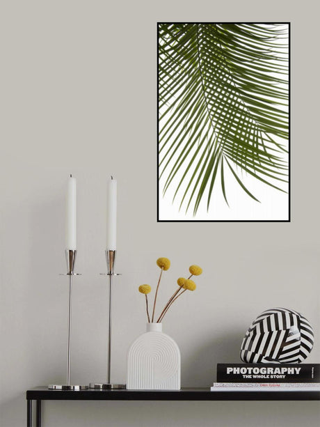 Palm Leaves Foliage Photo IV Poster och Canvastavla