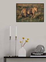 Young boy Poster och Canvastavla