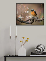 Spring is coming Poster och Canvastavla