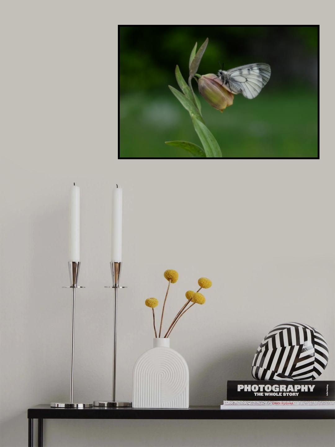 Dumanlı Apollo Poster och Canvastavla
