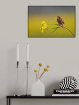 Alone Poster och Canvastavla