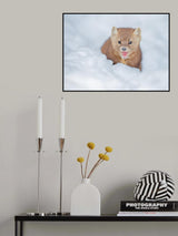 Pine Marten Poster och Canvastavla