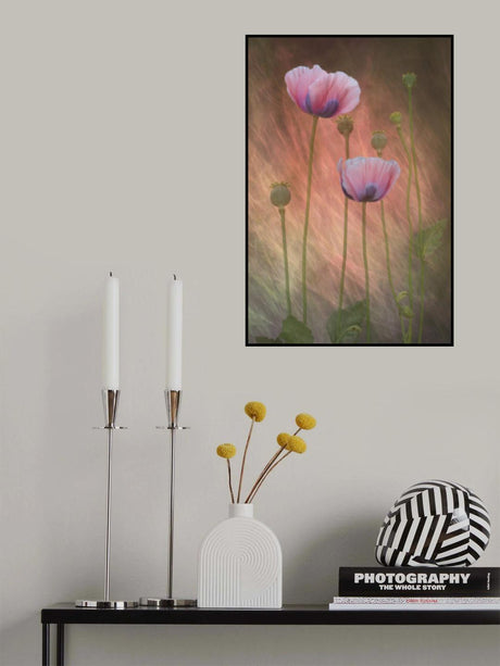 Friends Poster och Canvastavla