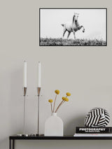 a short story about white beauty Poster och Canvastavla