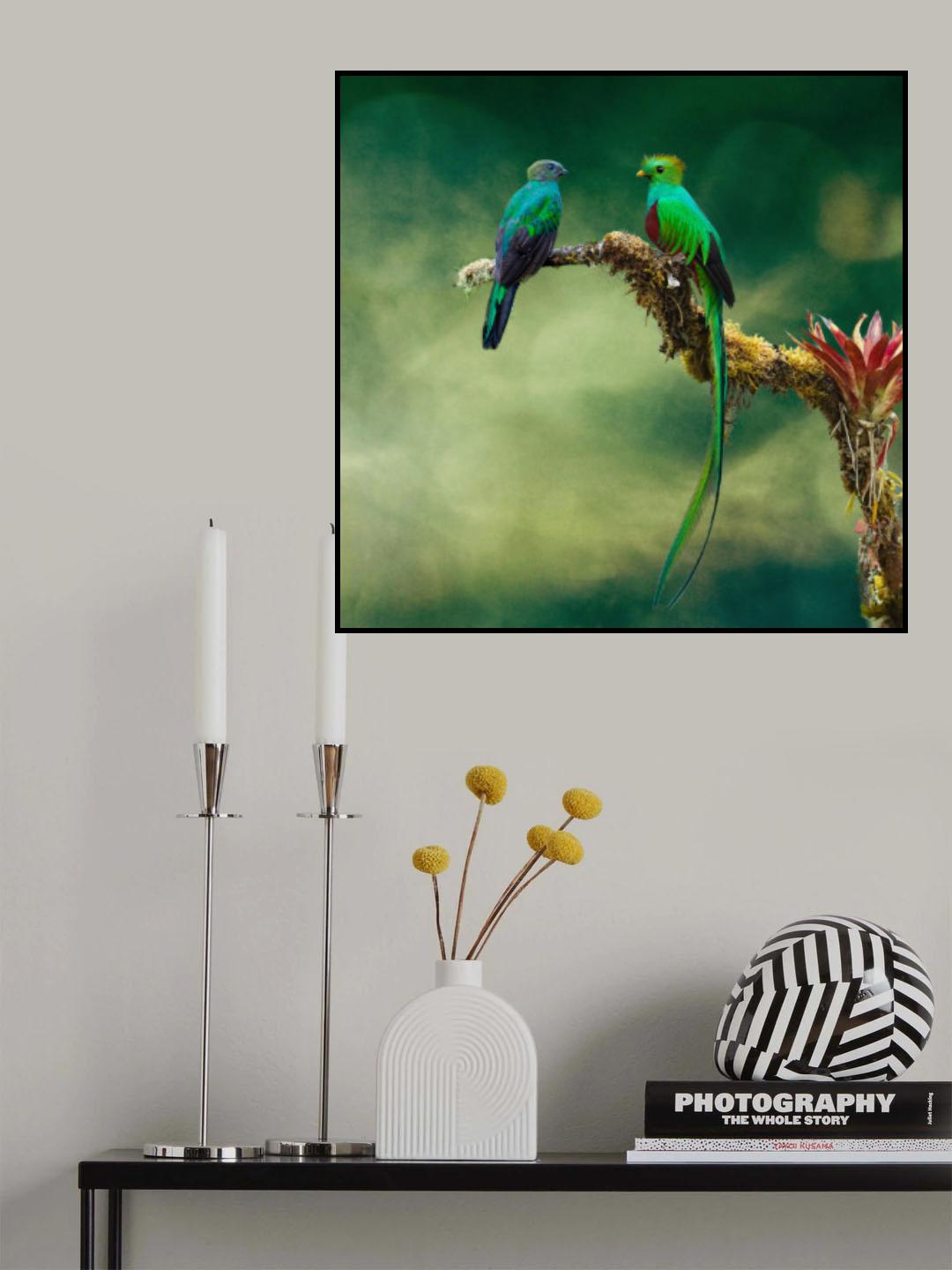 Quetzel Couple Poster och Canvastavla