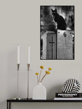 Incarnation - from "Kittysnaps Poster och Canvastavla