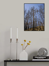 burnt trees in the forest Poster och Canvastavla