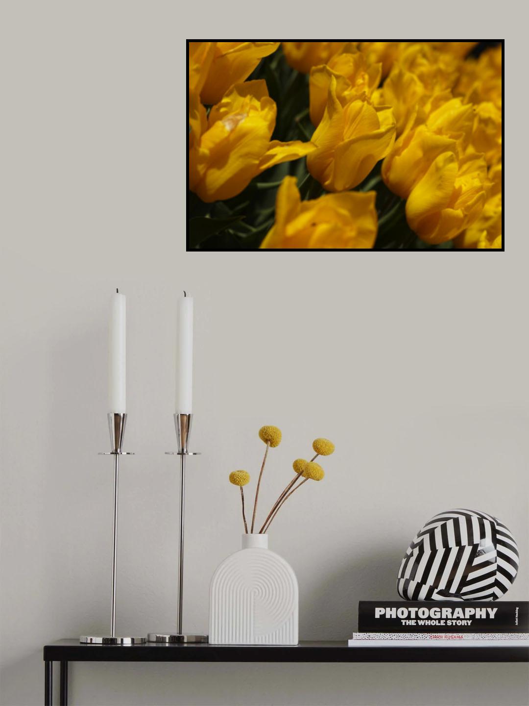 colorful tulips Poster och Canvastavla