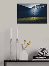 Poster och Canvastavla