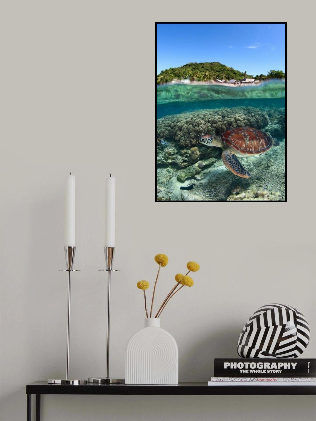 Along shore Poster och Canvastavla