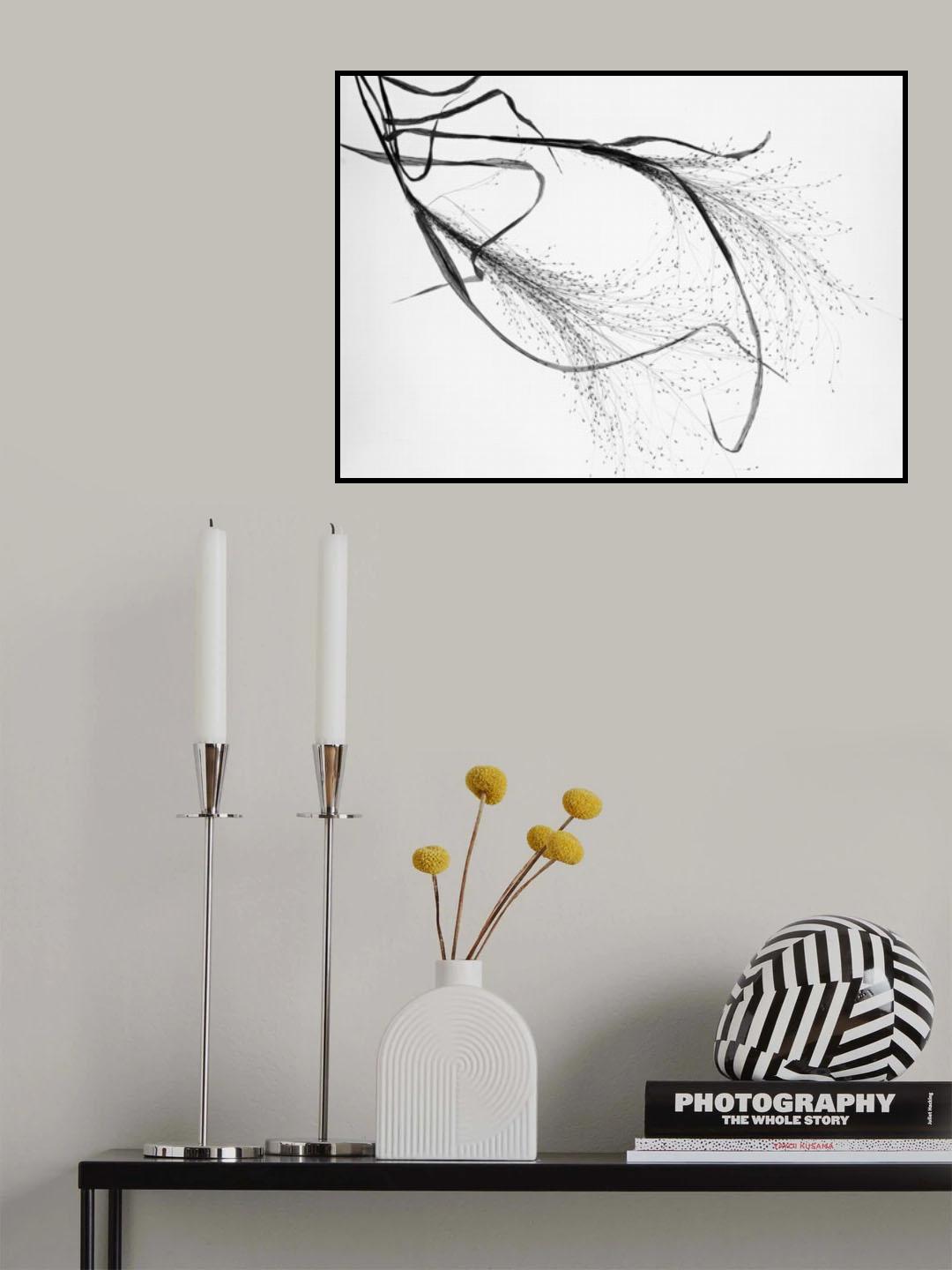 Falling in love with elegance . Poster och Canvastavla