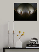 Octopus Poster och Canvastavla