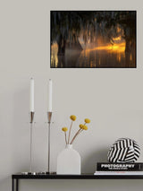 Under Spanish Moss Poster och Canvastavla