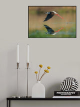 Poster och Canvastavla
