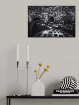 The beauty of Flowers Poster och Canvastavla