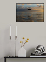 Jump Poster och Canvastavla