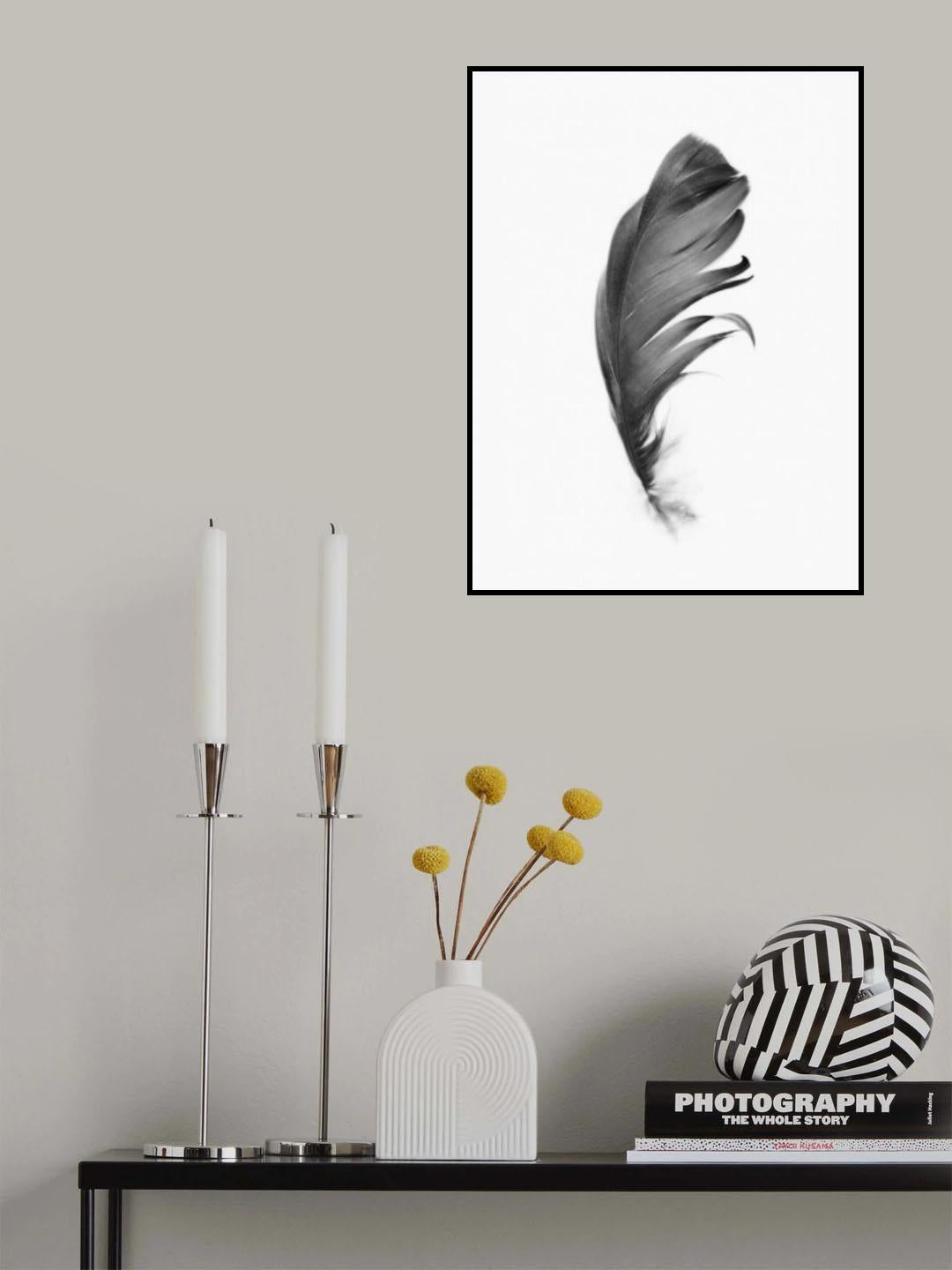 Feather Poster och Canvastavla
