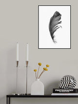 Feather Poster och Canvastavla