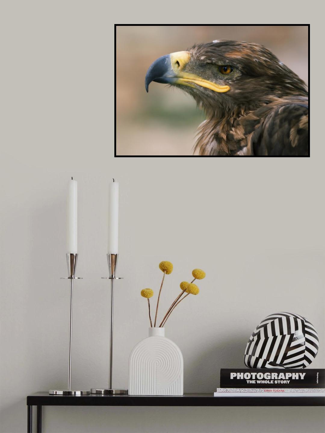 Eagle Poster och Canvastavla