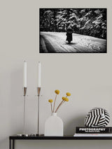 Poster och Canvastavla