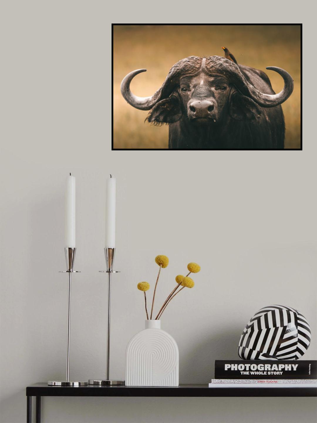 Poster och Canvastavla