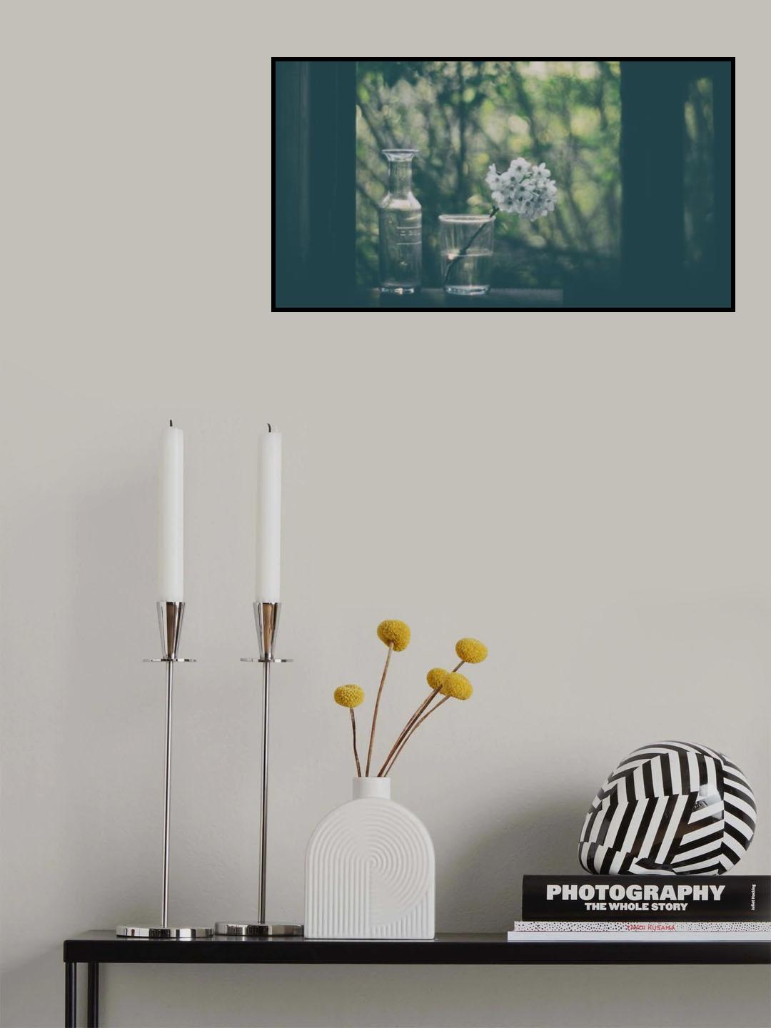 Through The Open Window Poster och Canvastavla