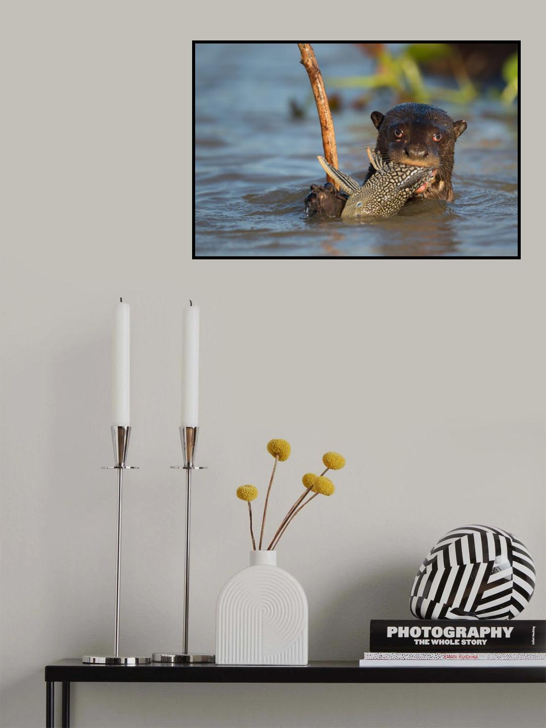 The fish eater Poster och Canvastavla