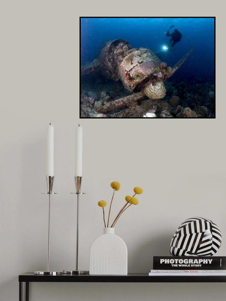 Jake Sea Plane Poster och Canvastavla