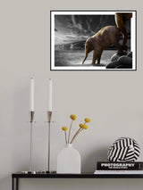 The Push Poster och Canvastavla