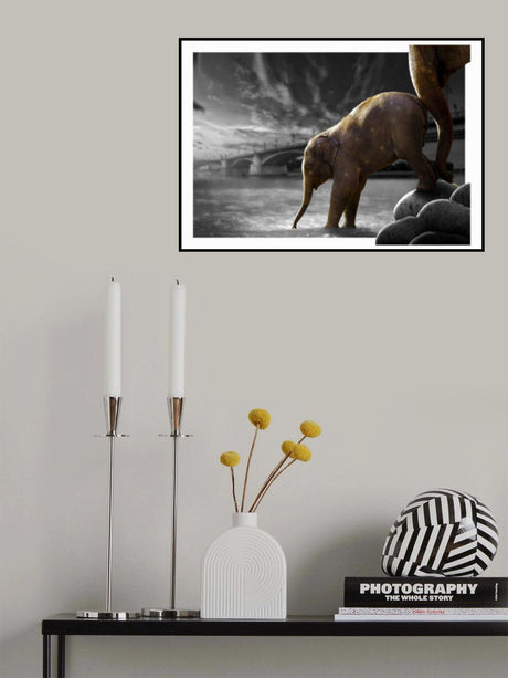 The Push Poster och Canvastavla