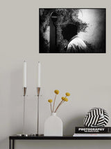 Poster och Canvastavla