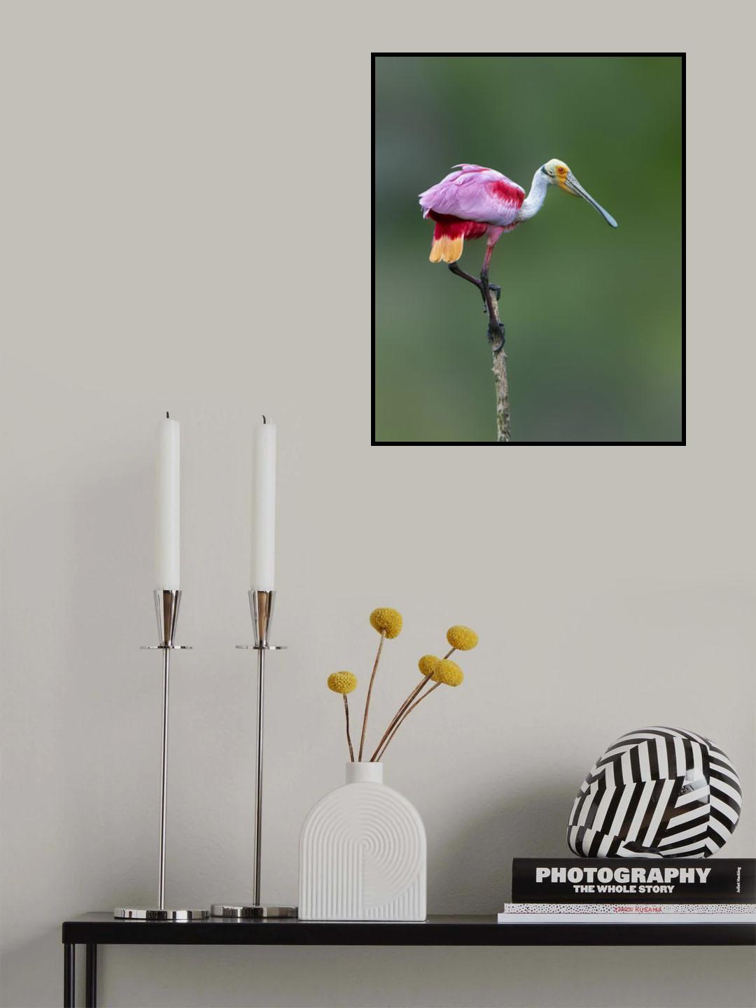 Acrobatic move Poster och Canvastavla