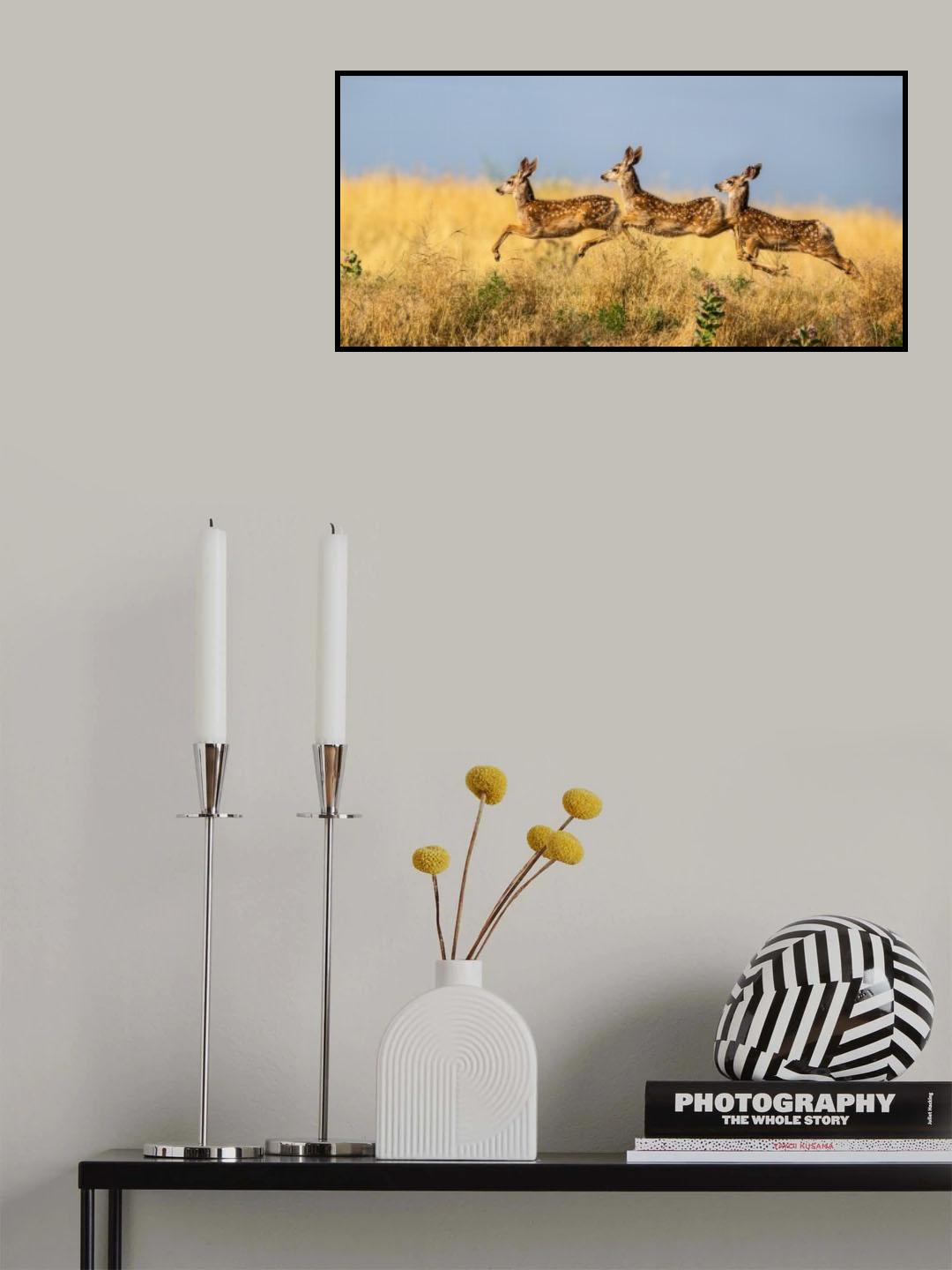 Tripple Jump Poster och Canvastavla