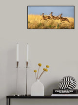 Tripple Jump Poster och Canvastavla