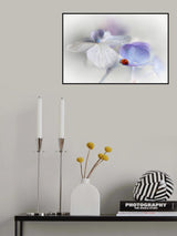 Beautiful Lady... Poster och Canvastavla