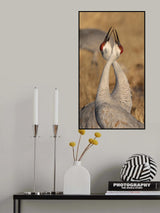 Sign of Affection Poster och Canvastavla