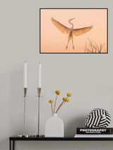 I Got Golden Wings Poster och Canvastavla