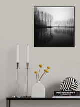 In dreams Poster och Canvastavla