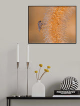 In the waterfall... Poster och Canvastavla