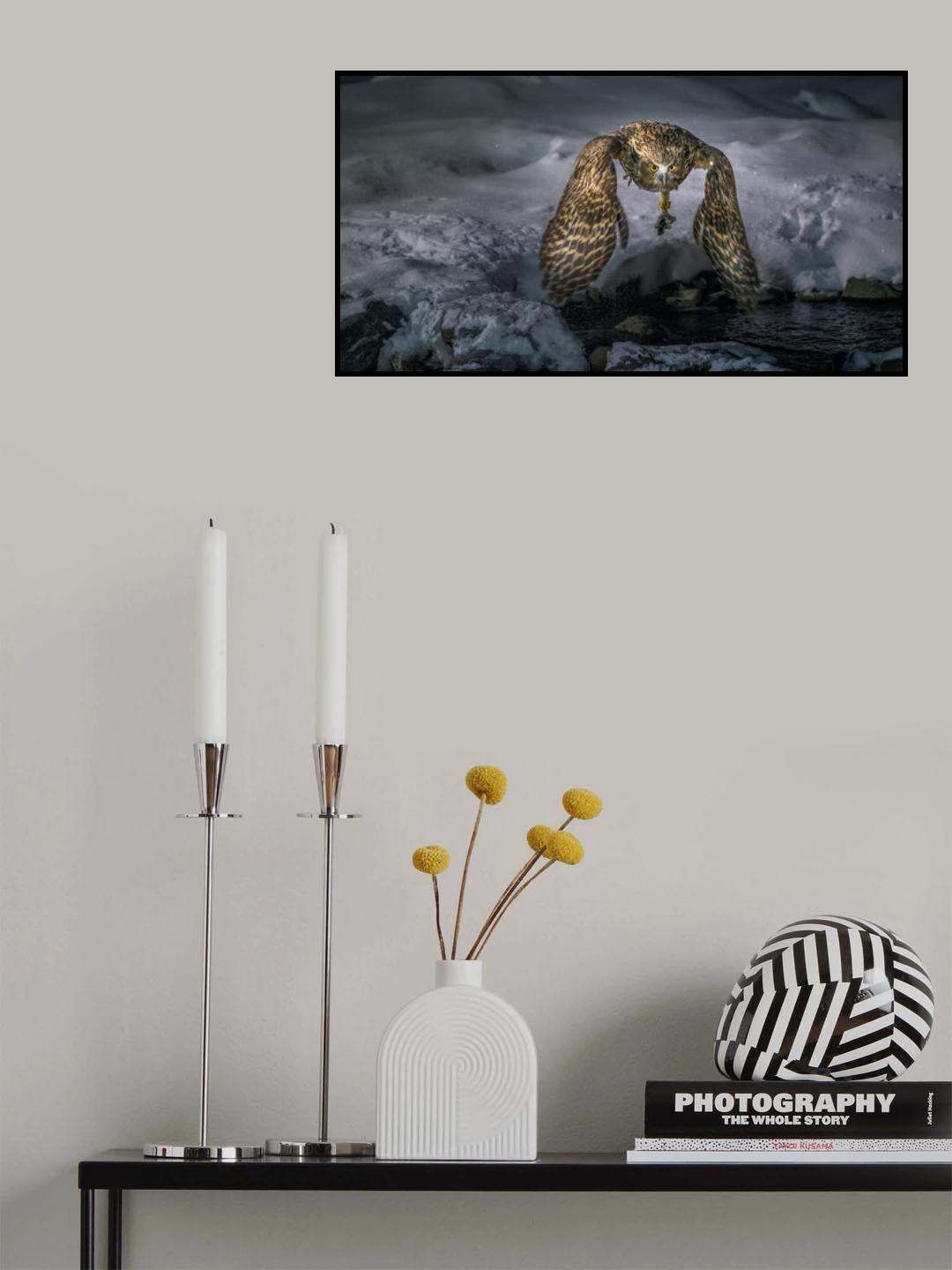 Blakiston fish  owl catch in the night Poster och Canvastavla