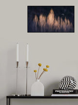 The light Poster och Canvastavla