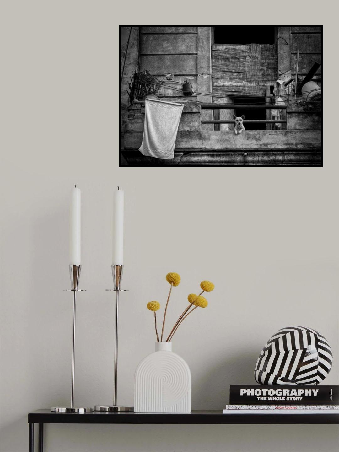 Balcony Poster och Canvastavla